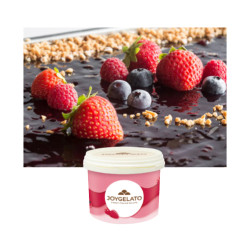 Joyfruit frutti di bosco cherasco